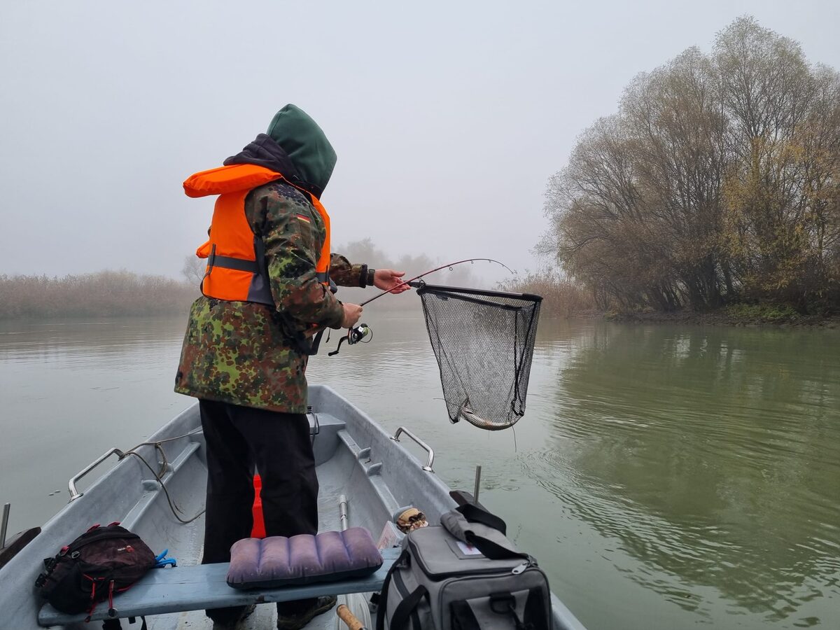Pescuit din barcă în Delta Dunării, în zona Gorgova